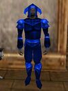 Armsman's Robe Colban Live.jpg