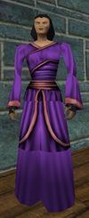 Wedding Raiment Women Purple Live.jpg