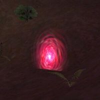 Black Ferah's Vault Live.jpg