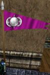 Homecoming Pennant (Pink) Live.jpg