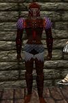 Lorica Armor Hennacin Live.jpg