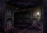 Web Maze