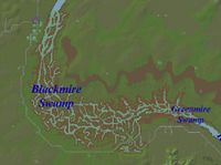 Greenmire Swamp