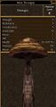 Thumbnail for version as of 12:19, 9 June 2023