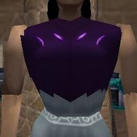 Sedgemail Leather Vest Live.jpg
