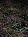 Thumbnail for version as of 12:30, 9 June 2023