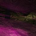 Thumbnail for version as of 12:58, 9 June 2023