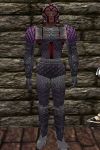 Lorica Armor Argenory Live.jpg
