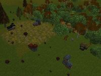 Solstice Hill Live.jpg
