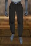 Baggy Pants Thananim Live.jpg
