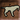 Carenzi Totem Icon.png