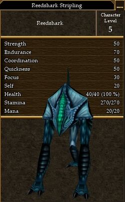 Reedshark Stripling.jpg