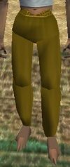 Baggy Pants (Dark Yellow) Live.jpg