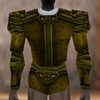Armoredillo Hide Coat Berimphur Live.jpg