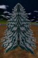 Thumbnail for version as of 13:30, 9 June 2023