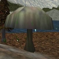 66.1N, 13.9E - Giant Mushroom Live.jpg