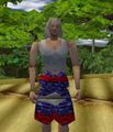 Thumbnail for version as of 12:50, 9 June 2023