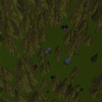 Whispering Pines Cottages Live.jpg