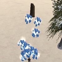 Ice Golem Shrine Live.jpg