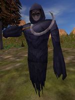 Ecorto the Lost Director
