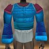 Amuli Coat (Infiltrator Master) Lapyan Live.jpg