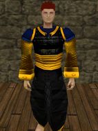 Sharded Greater Amuli Armor Live.jpg