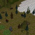 Thumbnail for version as of 12:39, 9 June 2023