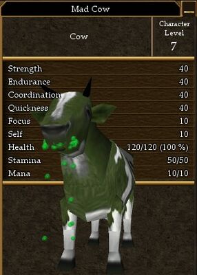 Mad Cow.jpg