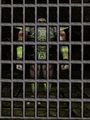 Thumbnail for version as of 12:55, 9 June 2023