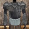 Gromnie Hide Coat Argenory Live.jpg