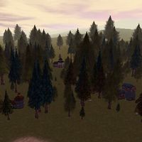 80.0N, 36.0E - Cottages Live.jpg