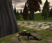 26.9N, 7.7E - Messenger's Corpse Live.jpg
