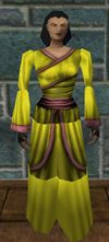 Wedding Raiment Women Yellow Live.jpg