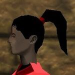 Haircut Skin 5 Live.jpg