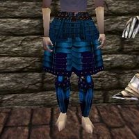 Koujia Leggings Live.jpg