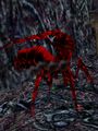 Thumbnail for version as of 13:05, 9 June 2023