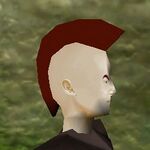 Haircut Skin 13 Live.jpg