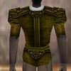 Fine Armoredillo Hide Shirt Berimphur Live.jpg
