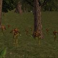 Thumbnail for version as of 12:12, 9 June 2023