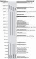 Thumbnail for version as of 13:40, 9 June 2023