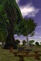 Thumbnail for version as of 12:26, 9 June 2023