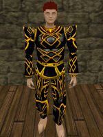 Sharded Greater Celdon Armor Live.jpg