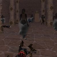 36.1S, 81.0W - Shadow Bunker Live 2.jpg