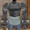 Gromnie Hide Amuli Coat Argenory Live.jpg