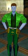 Aphus Lounging Shirt Verdalim Live.jpg