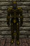 Diforsa Armor Berimphur Live.jpg