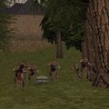 Thumbnail for version as of 12:12, 9 June 2023