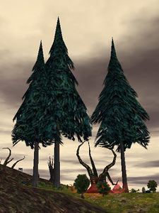 Tall Tree Live.jpg