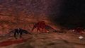 Teaser 200502 A.jpg
