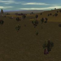 11.4N, 58.9E - Trail of Standing Stones Live 3.jpg